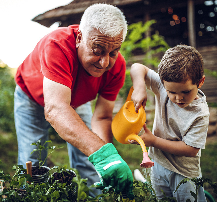 Older man gardens with his grandson. 