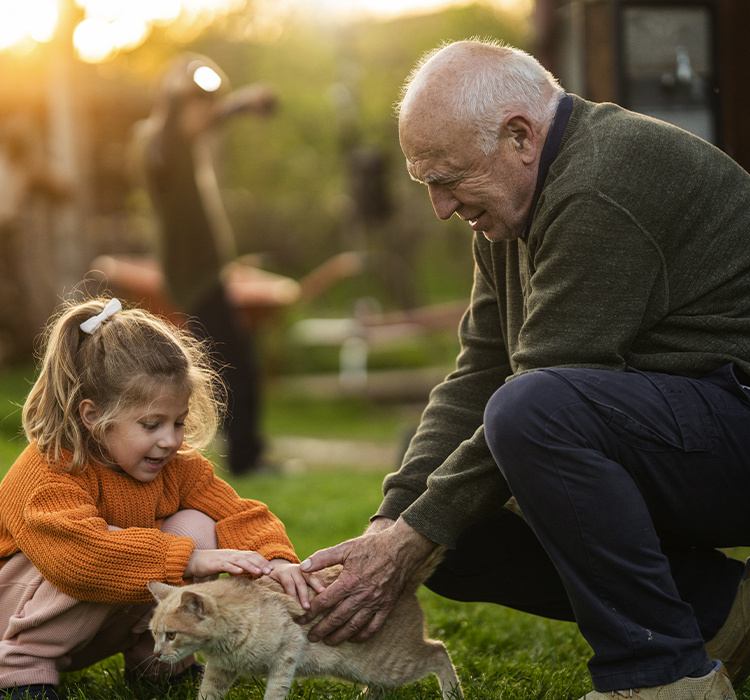 Grandpa pets a cat with his granddaughter. 