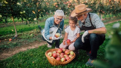 3 Fun Fall Activities for Seniors