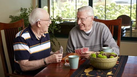 Best Social Activities for Seniors to Participate in