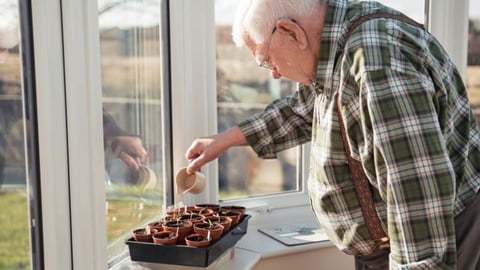 The Best Indoor Garden Ideas to Celebrate Spring