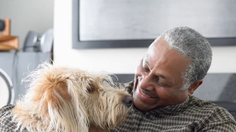 How Pet Therapy Can Improve Seniors' Moods