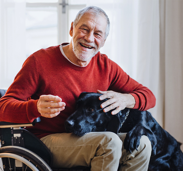 Man in a wheelchair pets a dog on his lap. 
