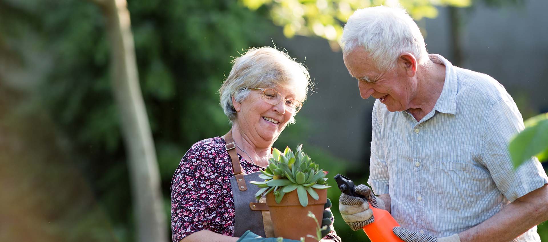 search-enhanced-care-communities