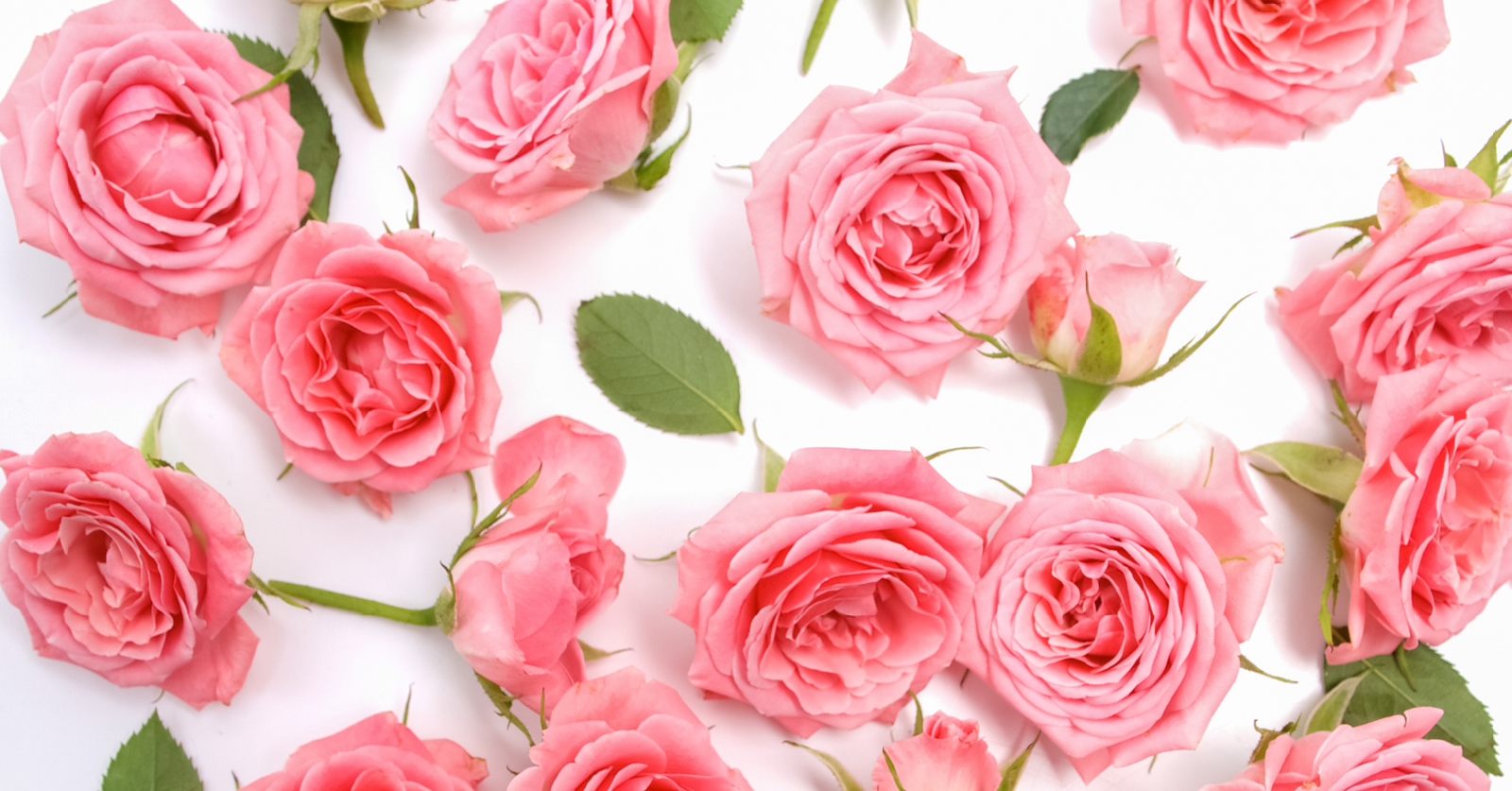 Love Lives Here – Valentine's Day 2026